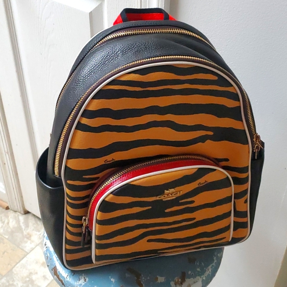 Small back pack